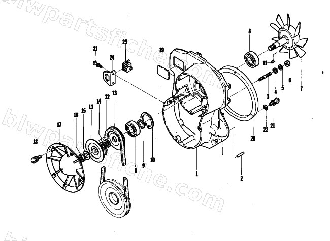 FAN diagram
