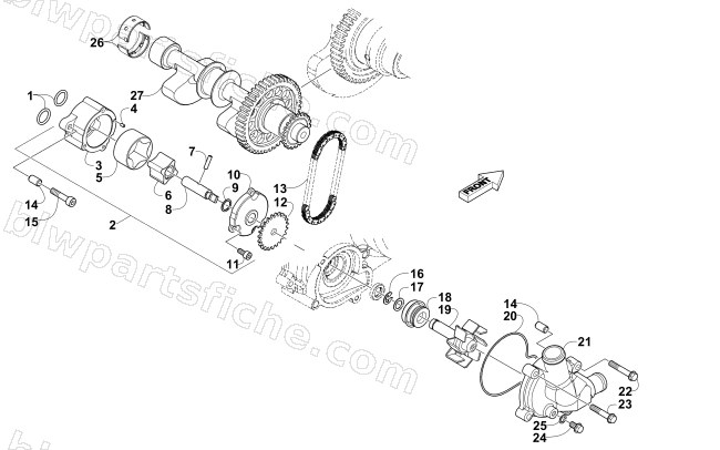 OIL PUMP AND WATER PUMP ASSEMBLIES diagram