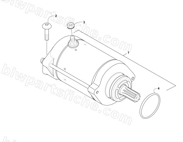 STARTER MOTOR ASSEMBLY diagram