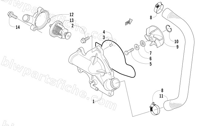 WATER PUMP AND THERMOSTAT diagram