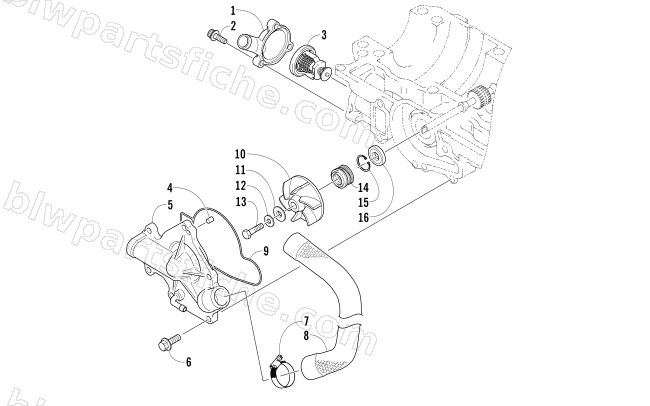 WATER PUMP AND THERMOSTAT diagram
