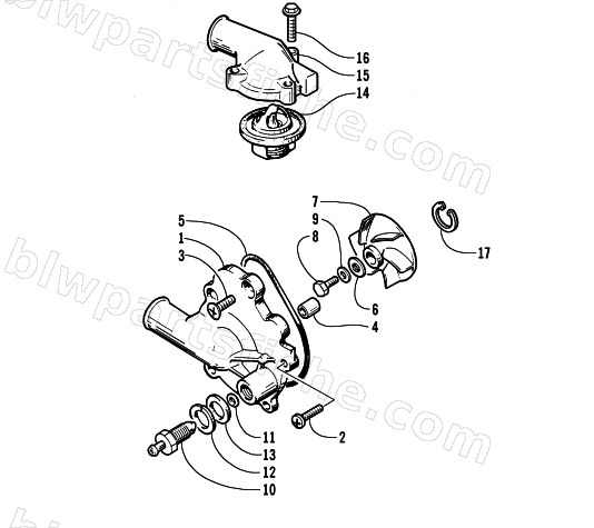 WATER PUMP AND THERMOSTAT diagram