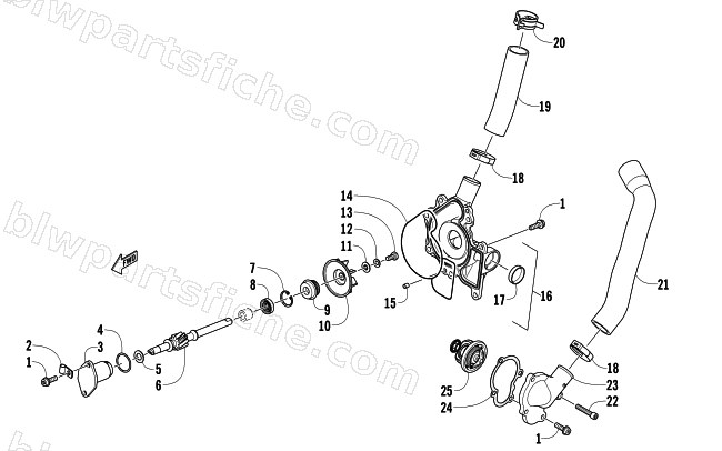 WATER PUMP AND THERMOSTAT diagram