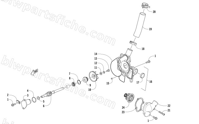 WATER PUMP AND THERMOSTAT diagram