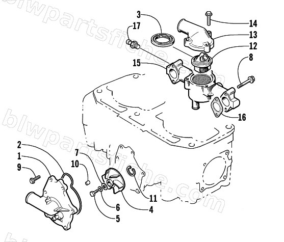 WATER PUMP AND THERMOSTAT diagram