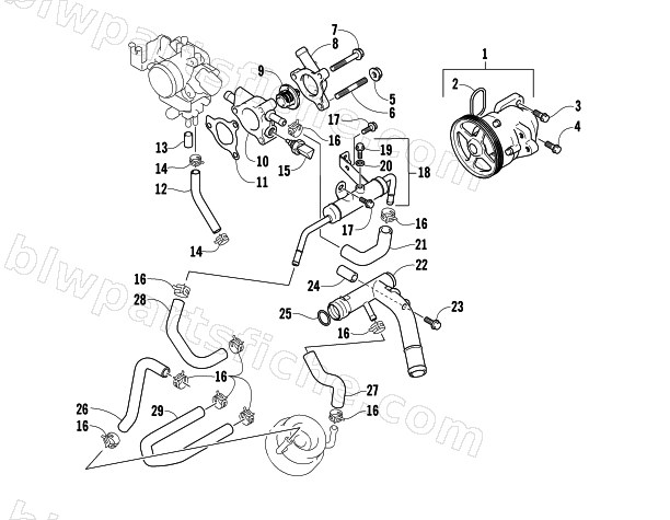 WATER PUMP AND THERMOSTAT ASSEMBLIES diagram