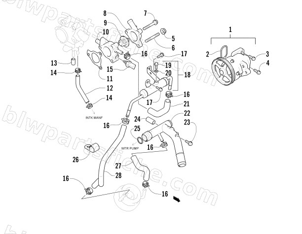 WATER PUMP AND THERMOSTAT ASSEMBLIES diagram