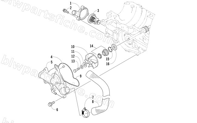 WATER PUMP/WATER MANIFOLD diagram