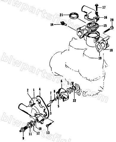 WATER PUMP/WATER MANIFOLD diagram
