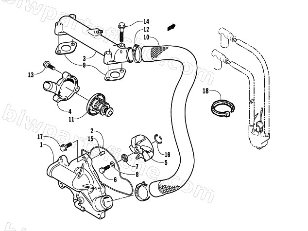 WATER PUMP/WATER MANIFOLD ASSEMBLY diagram