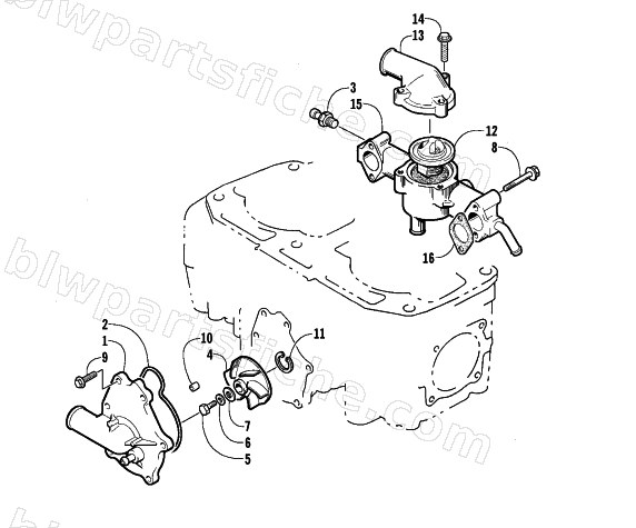 WATER PUMP/WATER MANIFOLD ASSEMBLY diagram