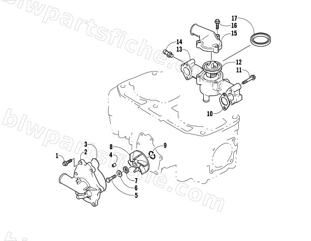 WATER PUMP/WATER MANIFOLD ASSEMBLY diagram