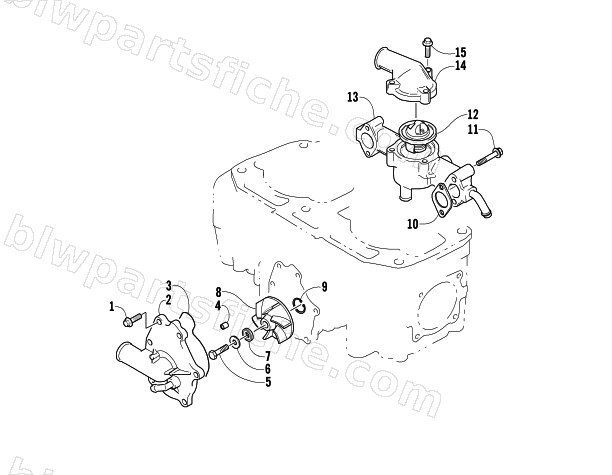 WATER PUMP/WATER MANIFOLD ASSEMBLY diagram